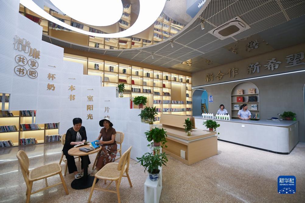 cc国际网投